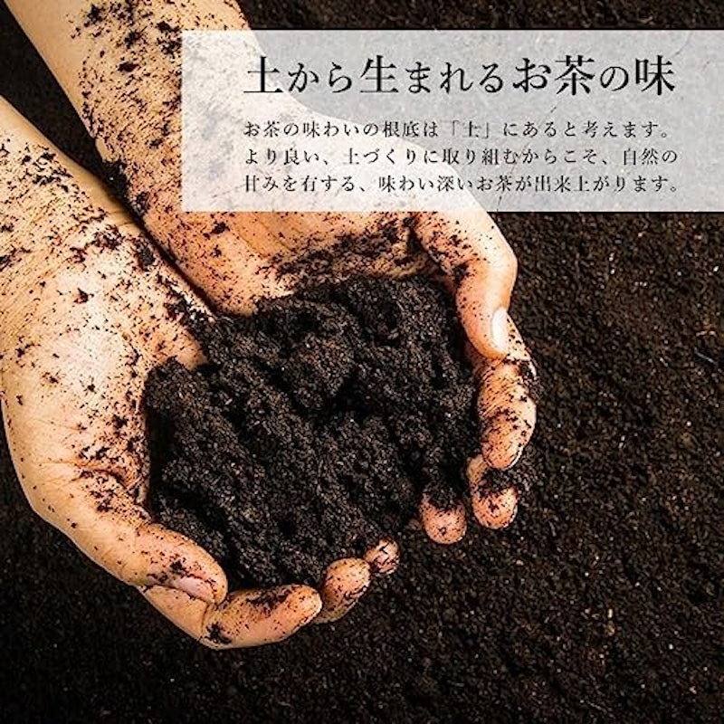 深蒸し煎茶 知覧 金印 4