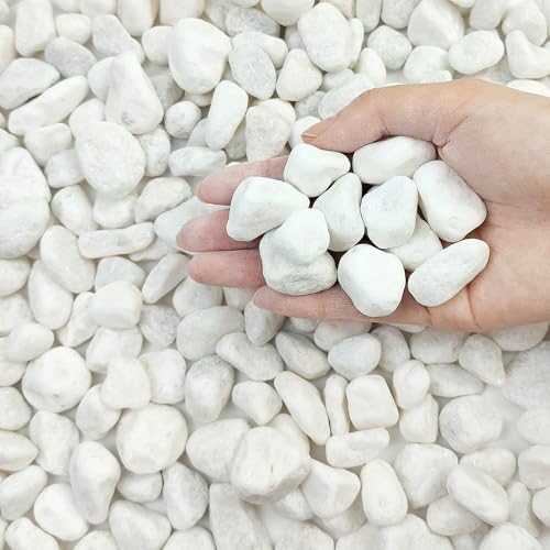 高級白玉砂利 1