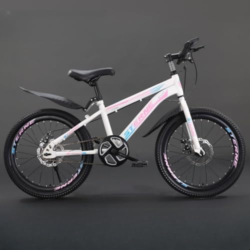 22インチの子ども用自転車のおすすめ人気ランキング【2025年