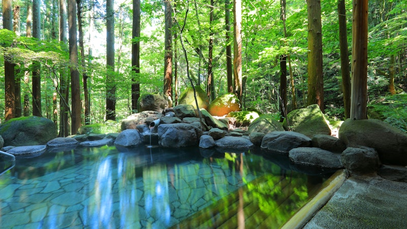 土湯別邸 里の湯 6
