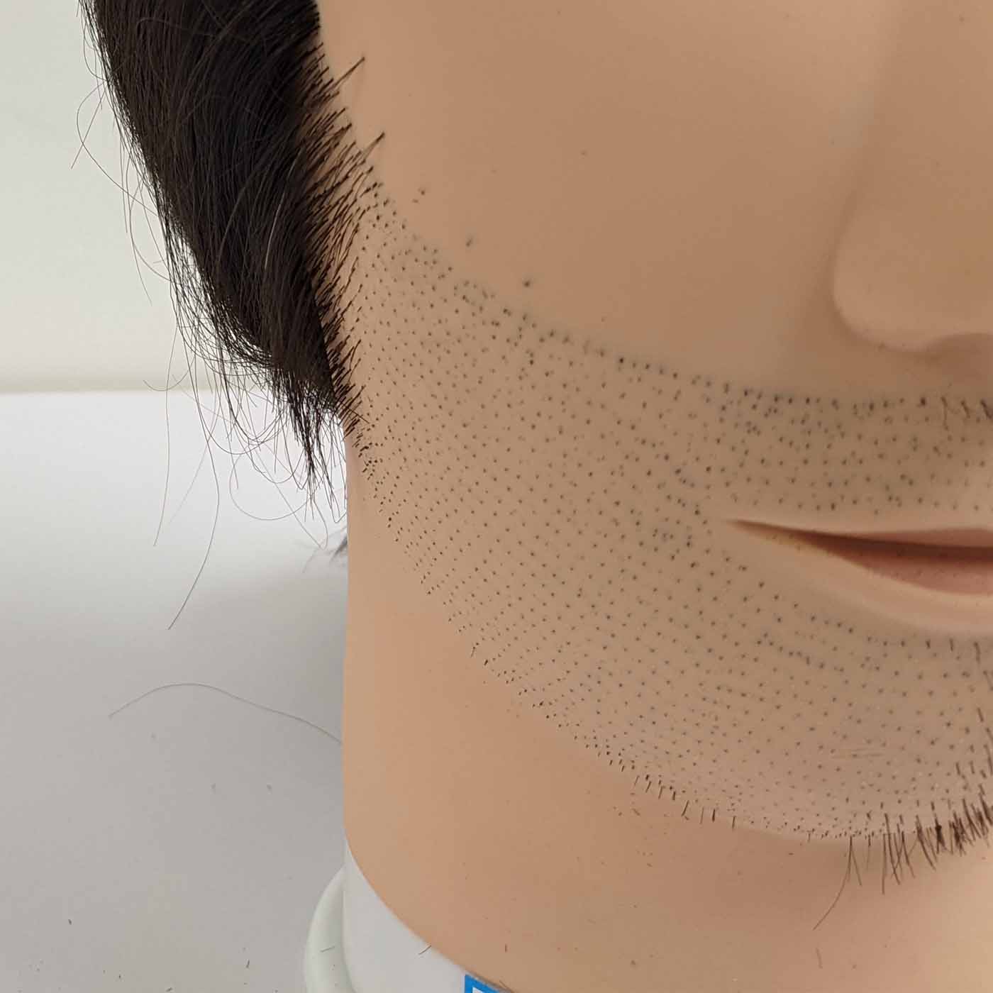 回転式の電気シェーバーのおすすめ人気ランキング9選 徹底比較 Mybest