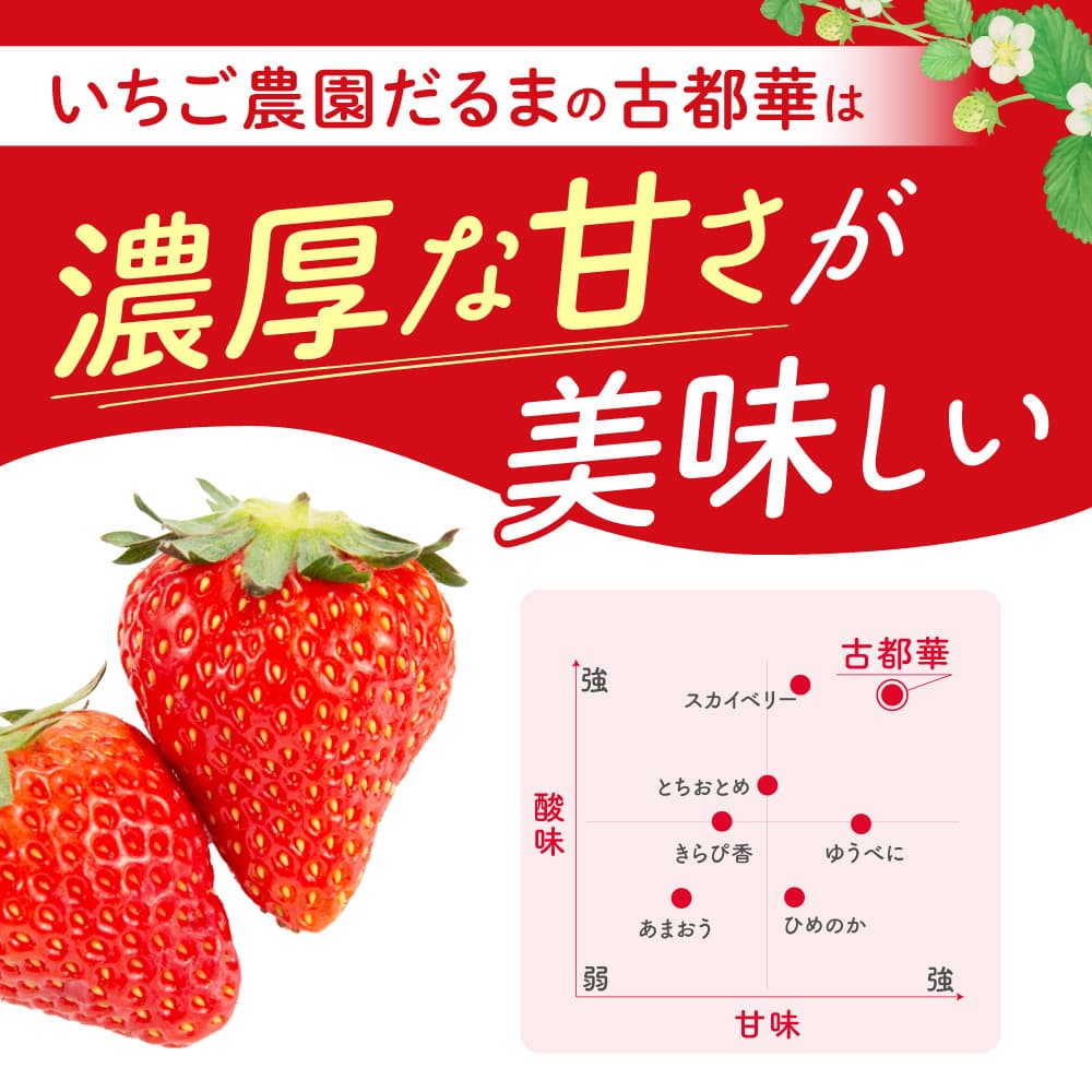大ちゃんの古都華 2