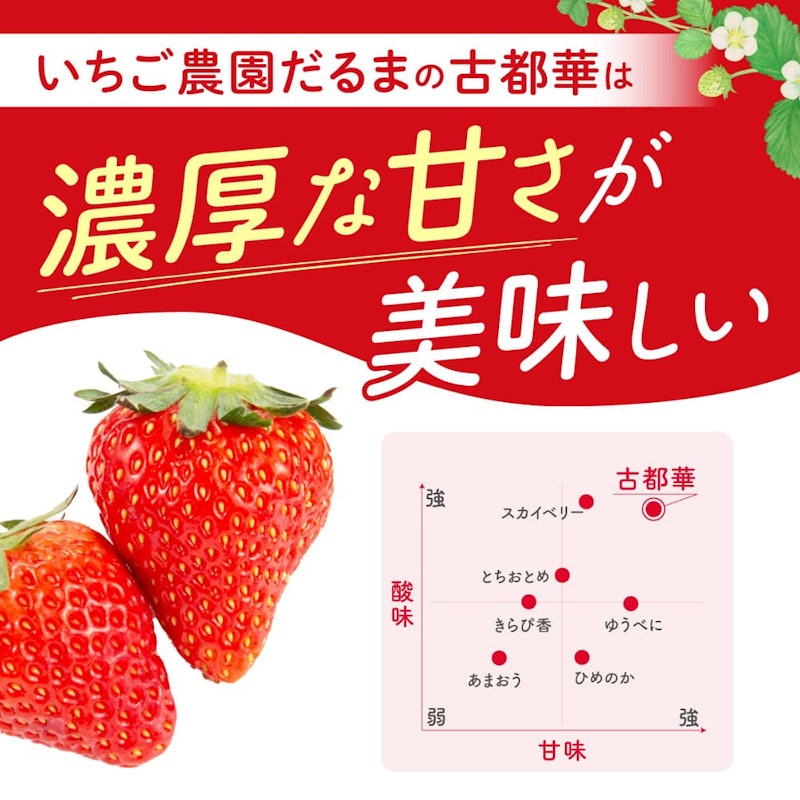 大ちゃんの古都華 2