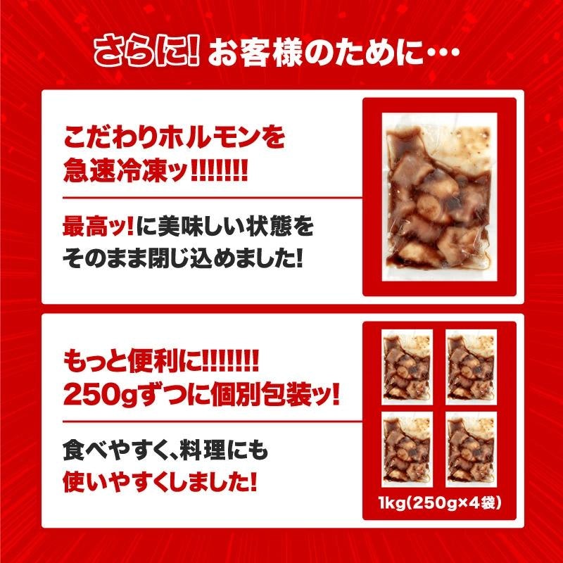 タレ漬けホルモン(マルチョウ) 3