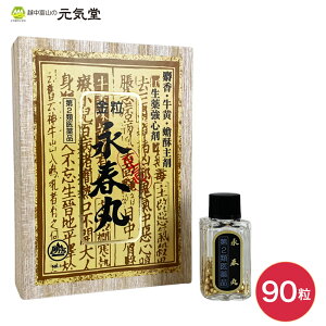 永春丸 1