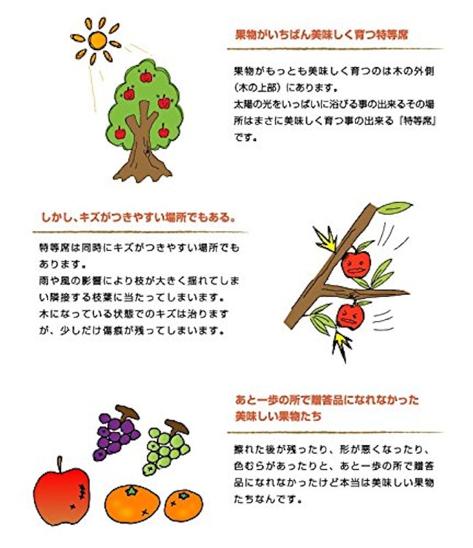 みかん はまさき 3