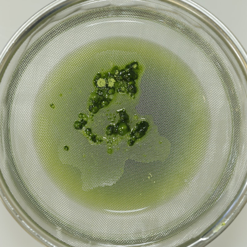 乳酸菌青汁 6
