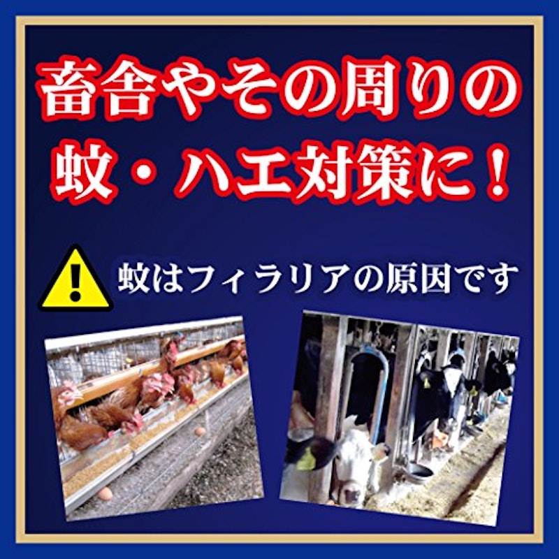 動物用金鳥の渦巻 1