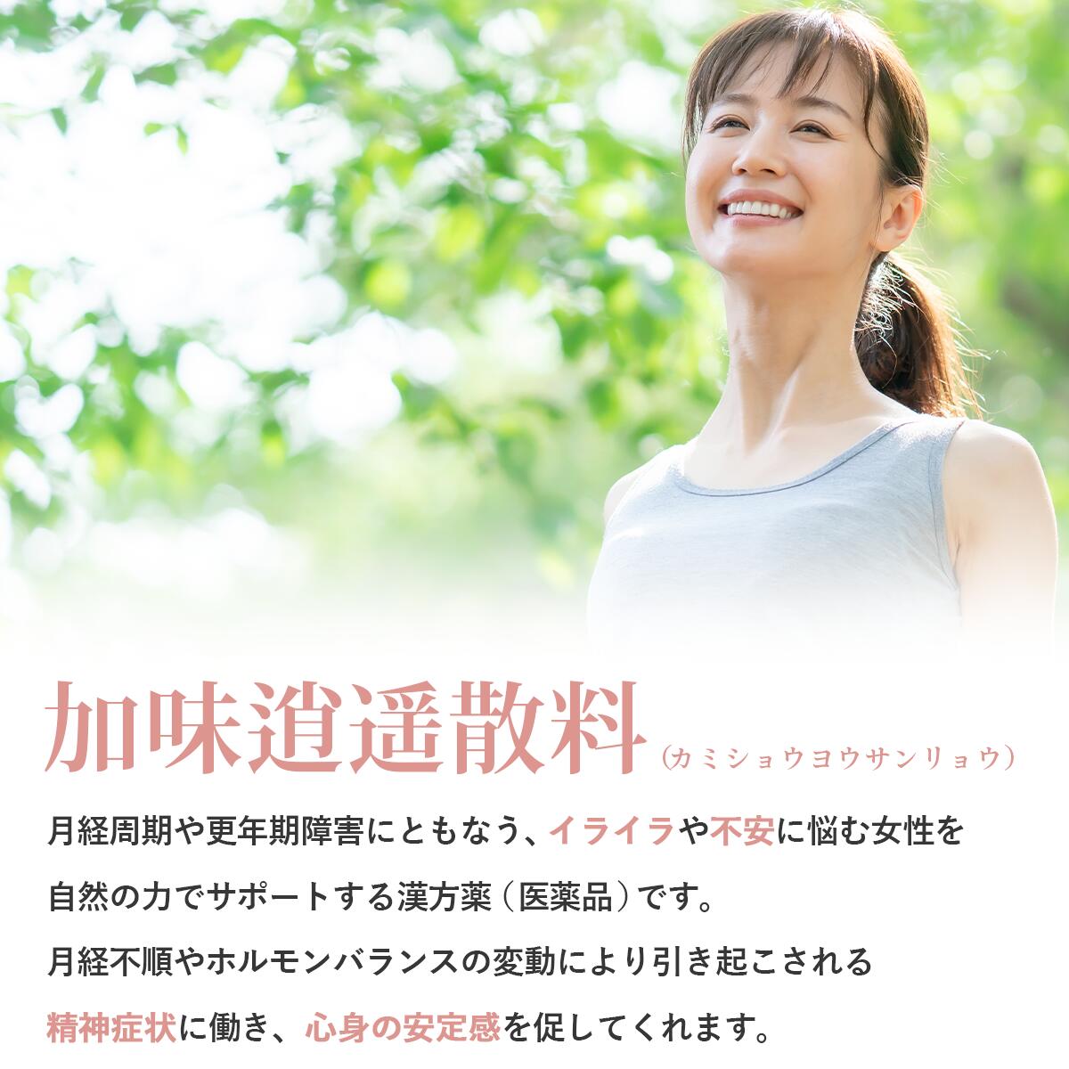 加味逍遙散料 2