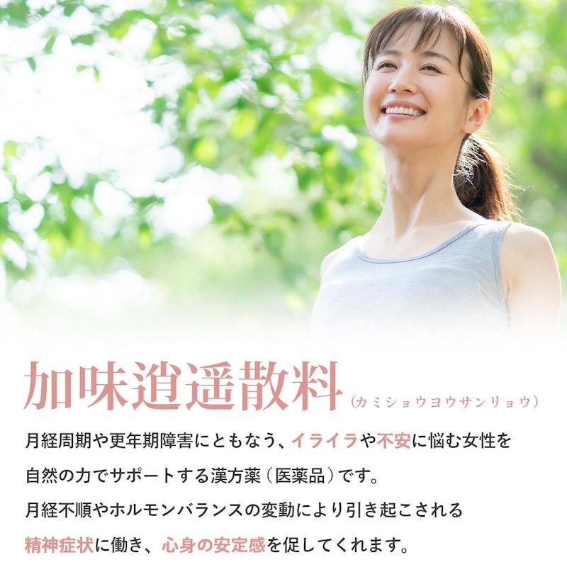 加味逍遙散料 2