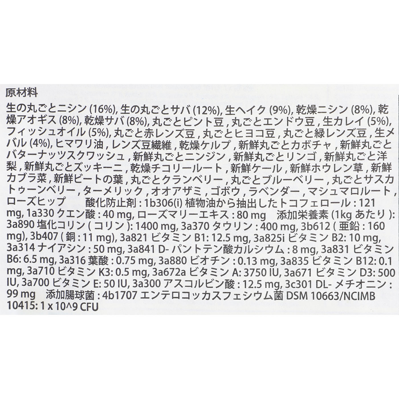 パシフィカキャット 4