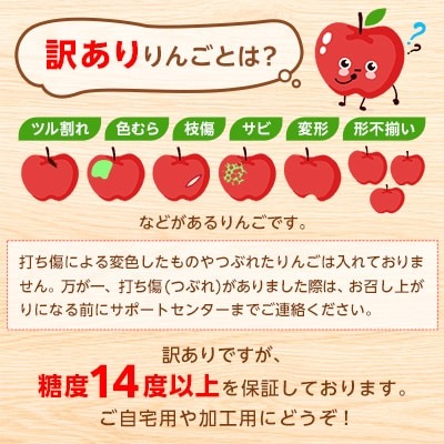 サンふじ 糖度14度以上保証・訳あり家庭用りんご 3