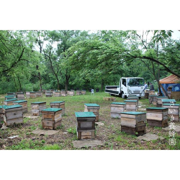 さいき養蜂園 天然ピュア蜂蜜 アカシア 2