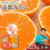 甘いみかんのおすすめ人気ランキング【2026年10月】 5