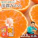 愛知 fruits ooda 蒲郡温室みかん 1