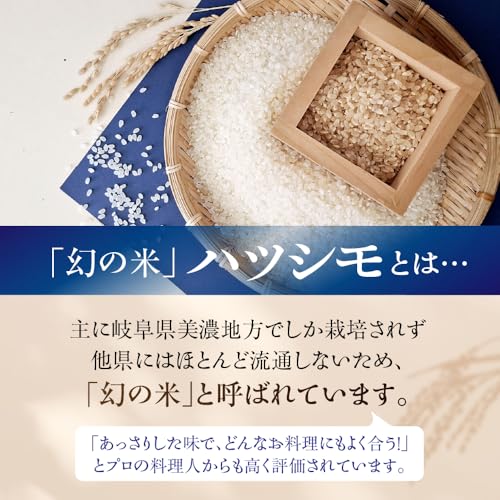 米粉パスタ 3