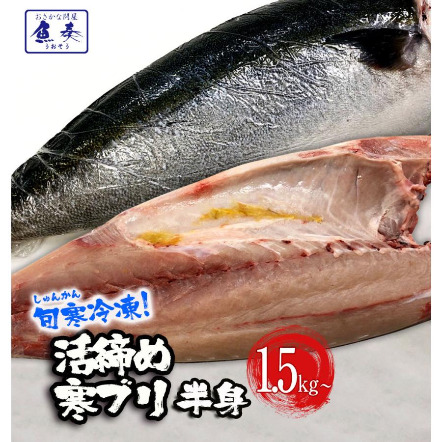 活締めぶり 1