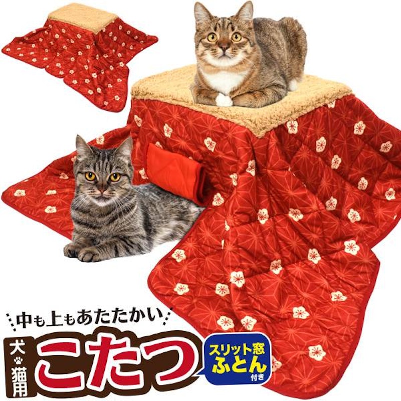 犬猫用こたつ 3点セット 1