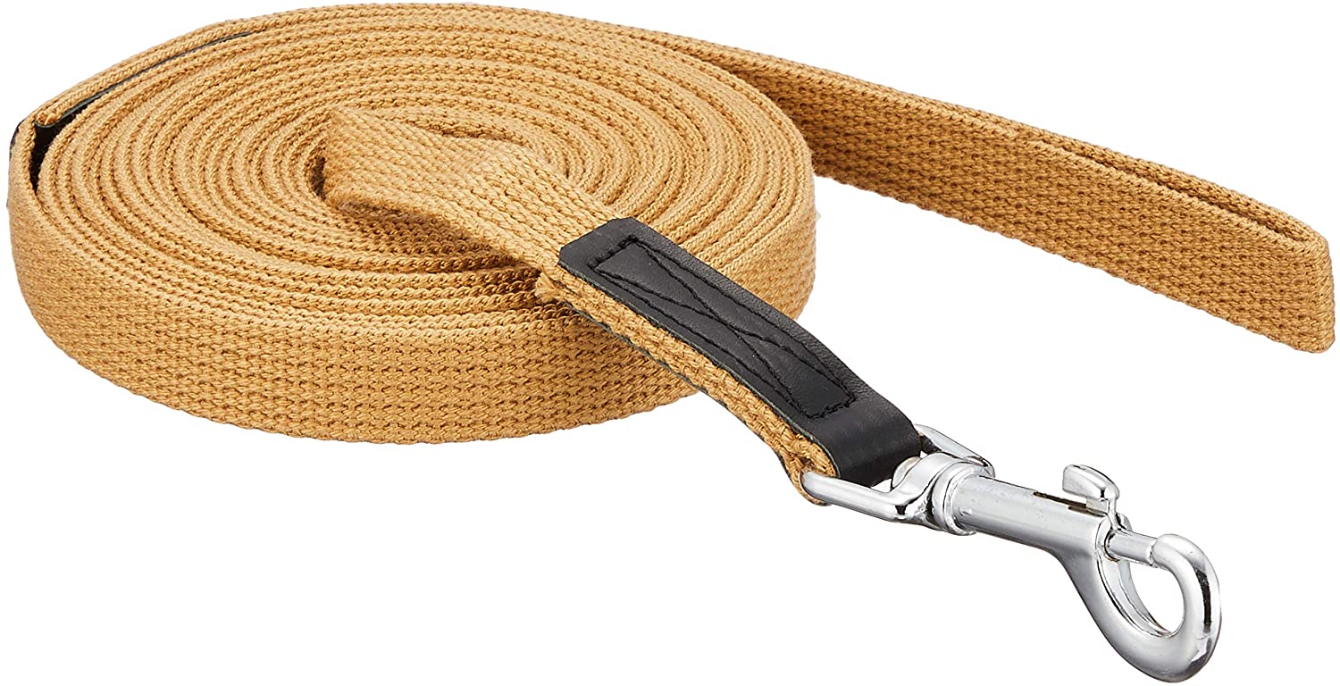 22年 犬用ロングリードのおすすめ人気ランキング13選 Mybest