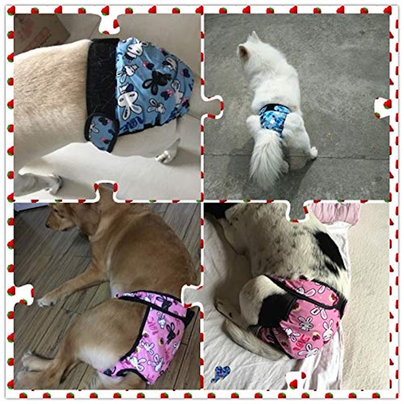 犬用おむつ 4