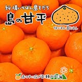 甘平みかんのおすすめ人気ランキング【2026年6月】 4