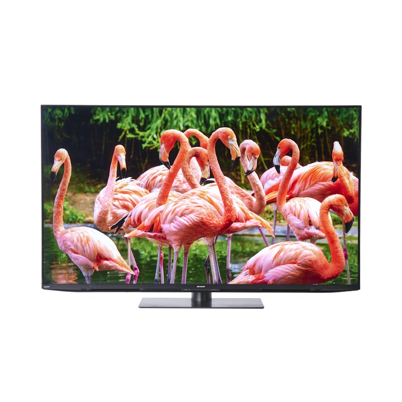 4K液晶テレビ EU1ライン 1