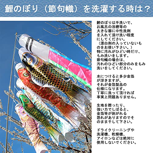 金龍鯉金箔押セット 6