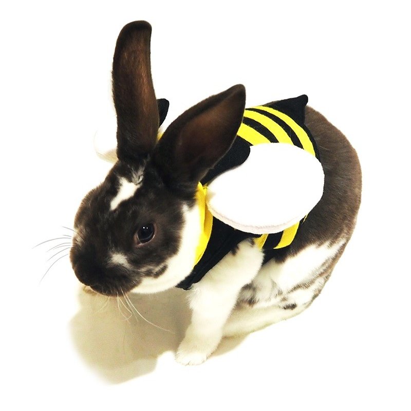 21年 うさぎ用ハーネスのおすすめ人気ランキング10選 Mybest