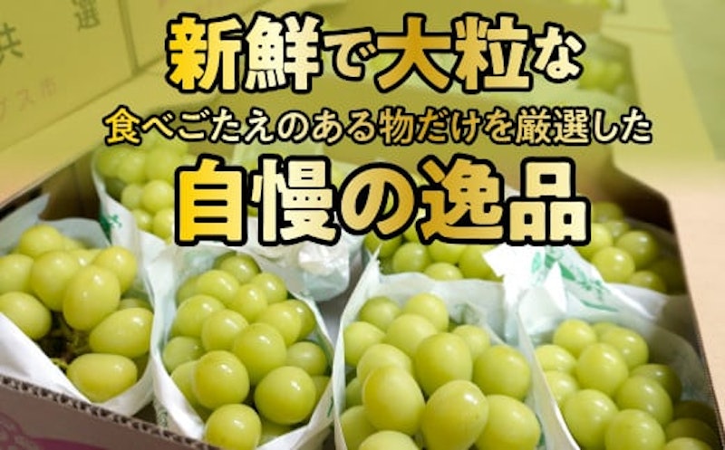 シャインマスカット 3