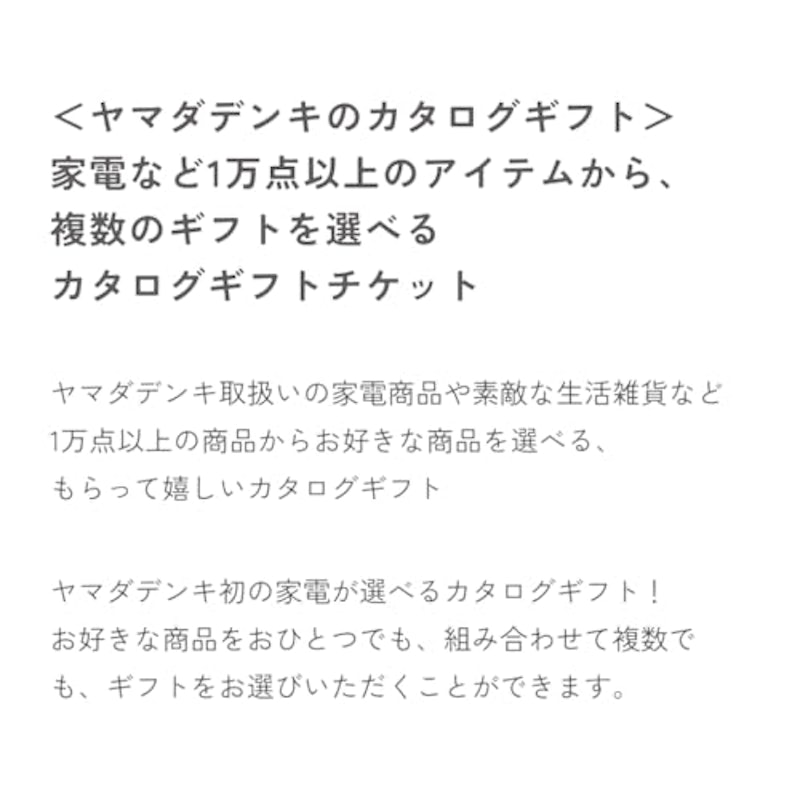 ヤマダデンキ カタログギフトチケット 2