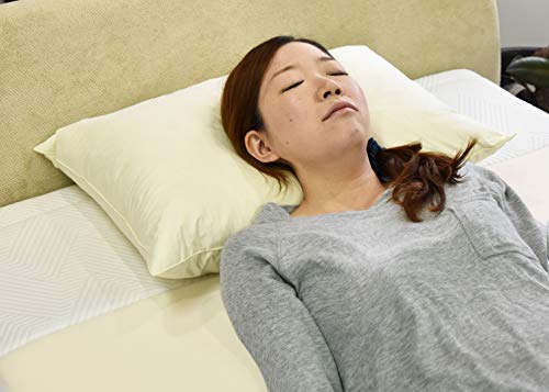 パイプ羽根枕 2