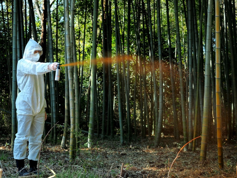 熊撃退スプレー 2