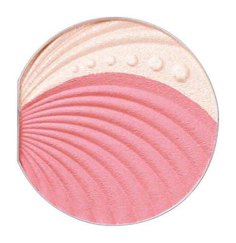 ブラシひと塗りチーク 2