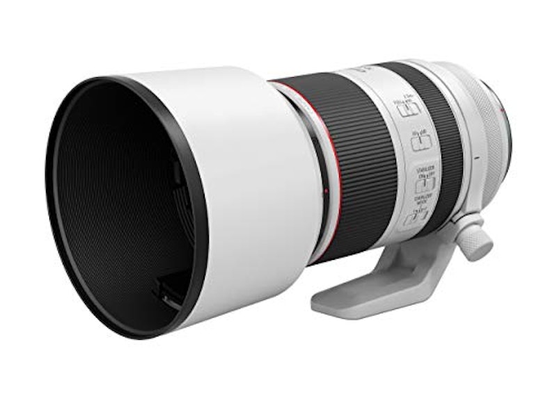 RF70-200mm F2.8 L IS USM 6