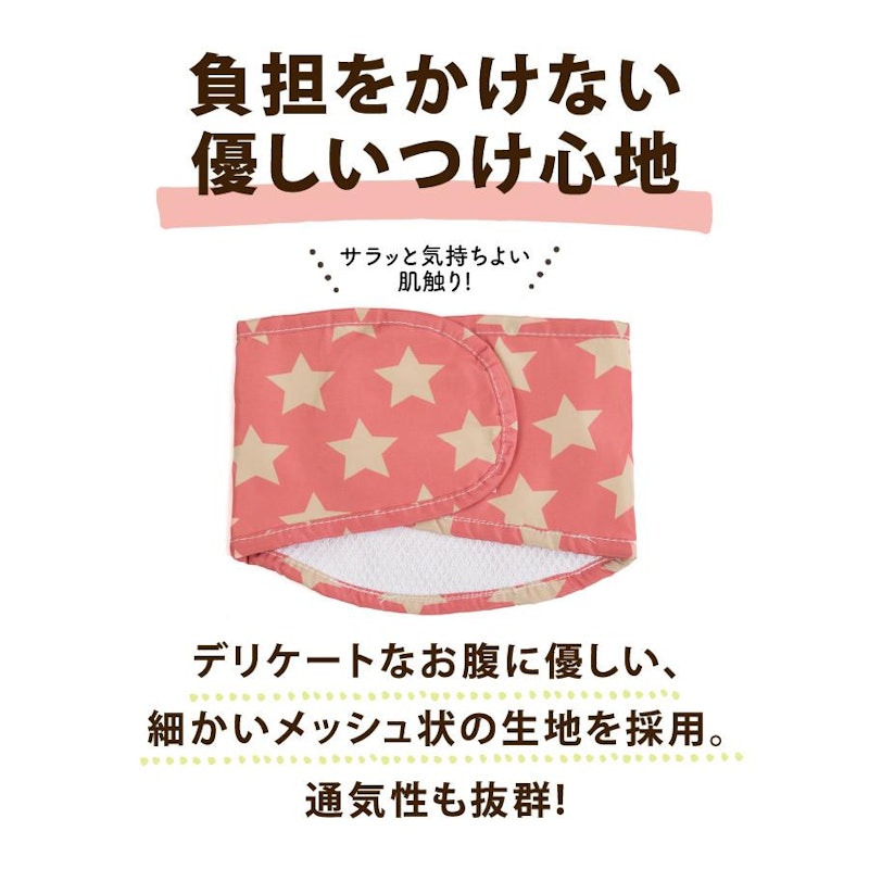 マナーベルト 4
