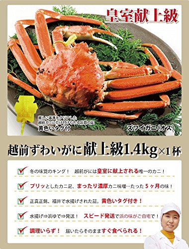 越前がに 2