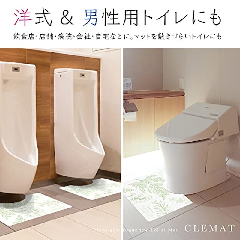 CLEMAT 2