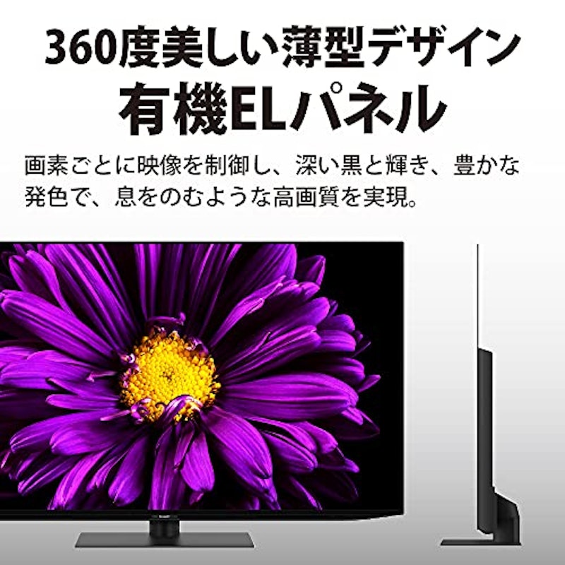 55V型有機EL テレビ 5
