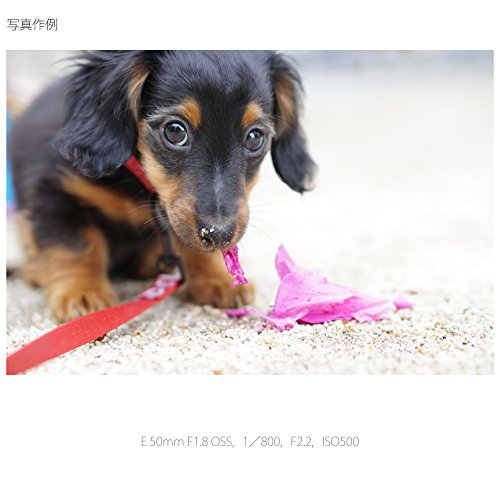 E 50mm F1.8 OSS 13
