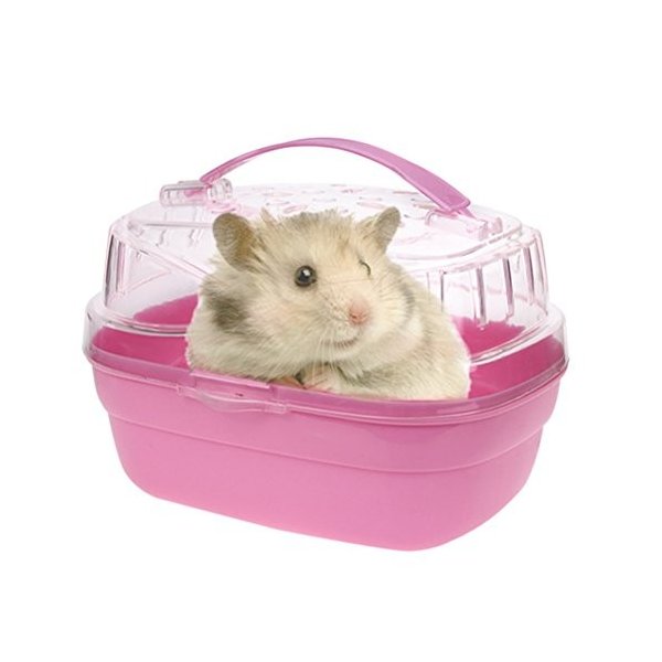 21年 ハムスター用キャリーケースのおすすめ人気ランキング10選 Mybest