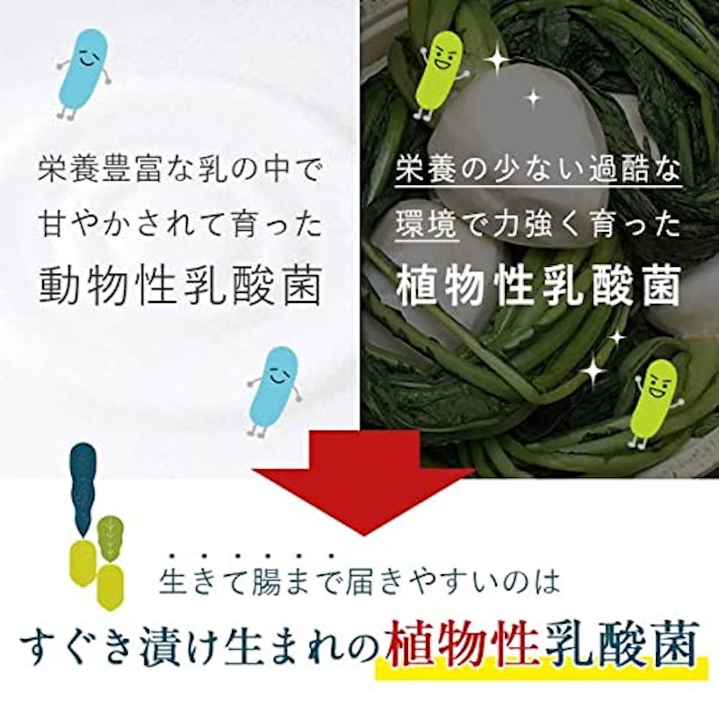 すぐきヨーグルト 6