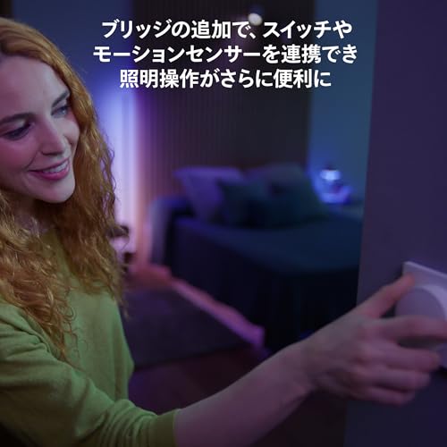 スマート電球 12