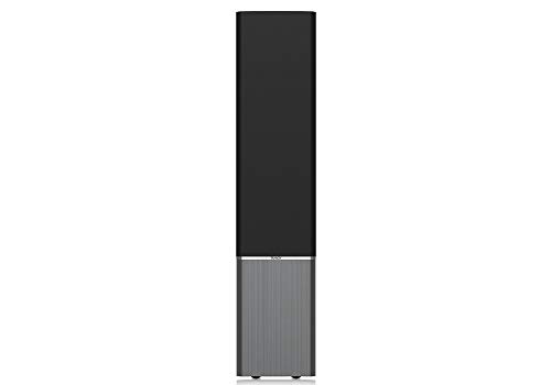 Tannoy Platinum F6 2