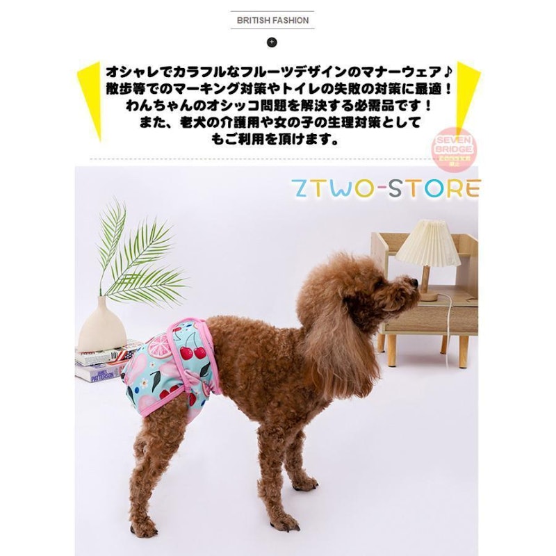 マナーパンツ 2