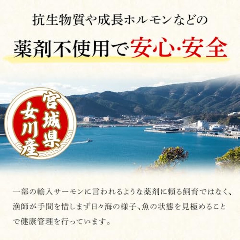 銀鮭 3