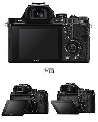 α7S 2
