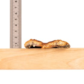 日本料理きふね 炭火焼うなぎ・蒲焼2尾セットを検証レビュー!うなぎ通販の選び方も紹介 2