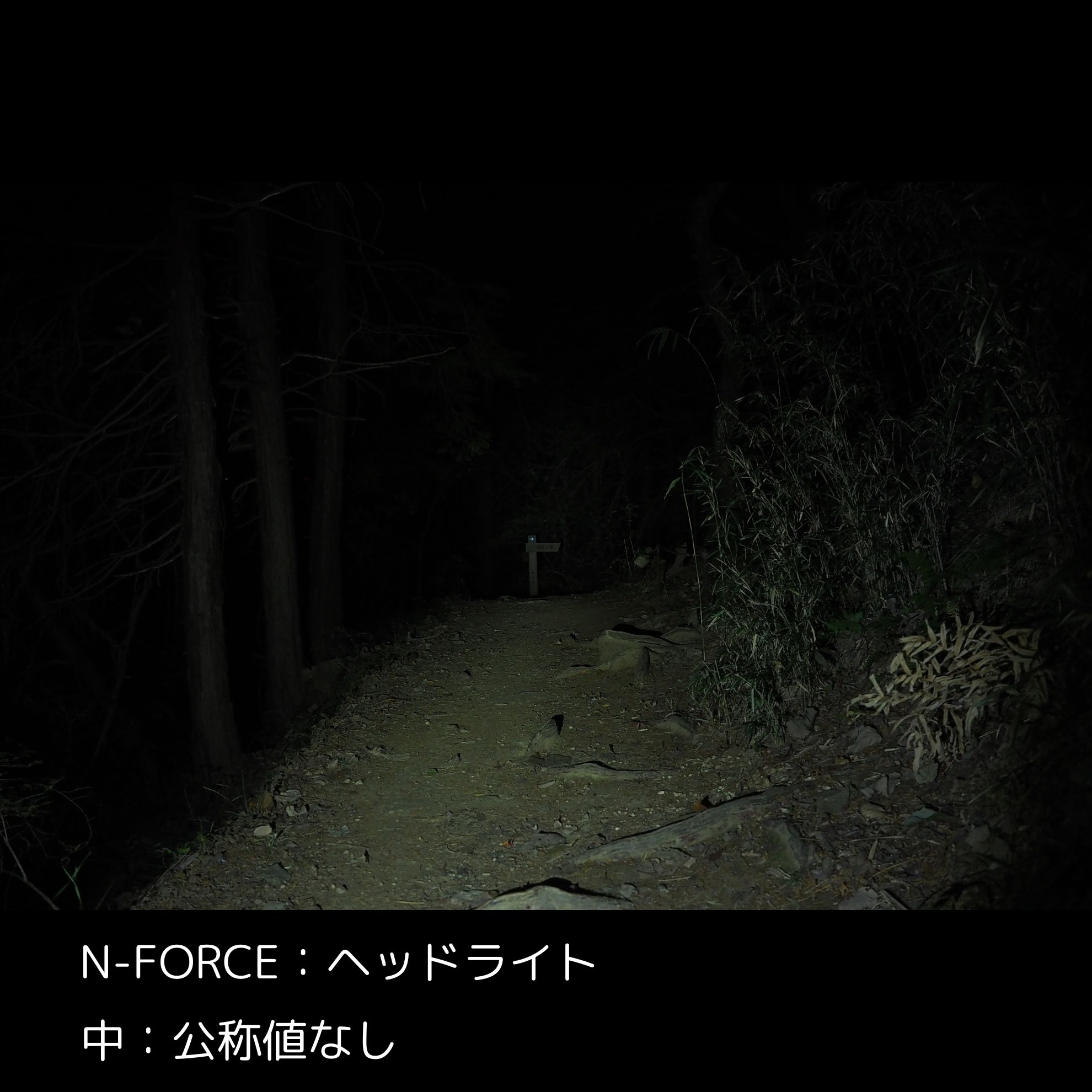 ヘッドライト 3