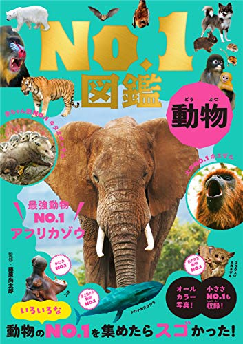 動物No.1図鑑 1