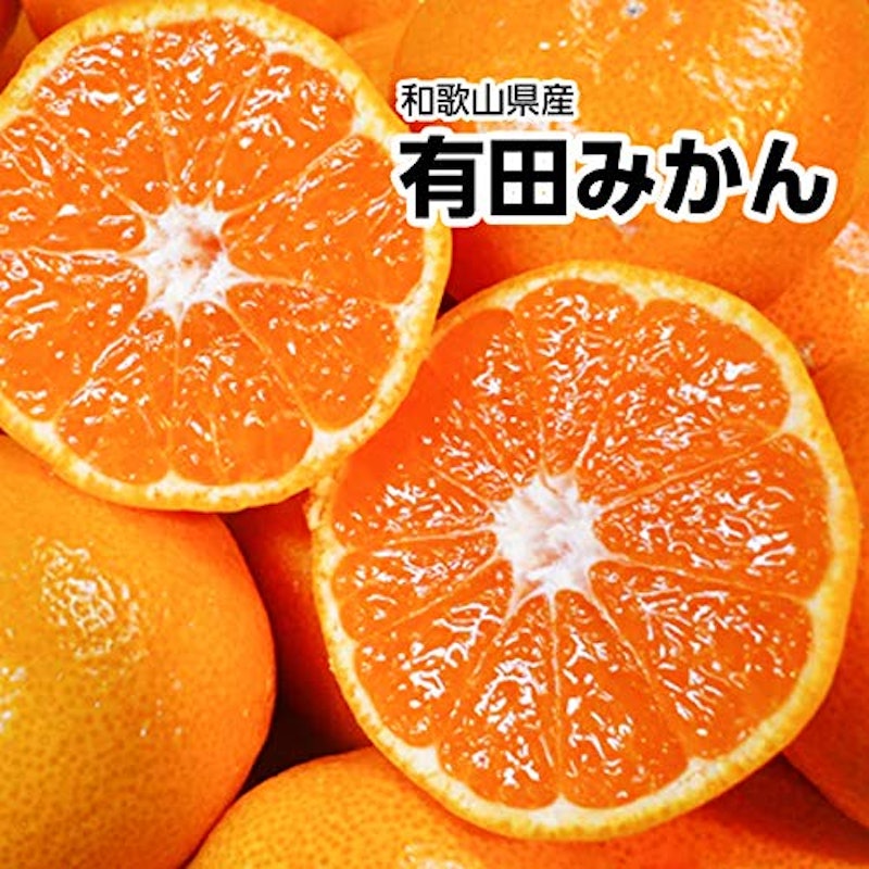 和歌山県産 有田・下津みかん 1